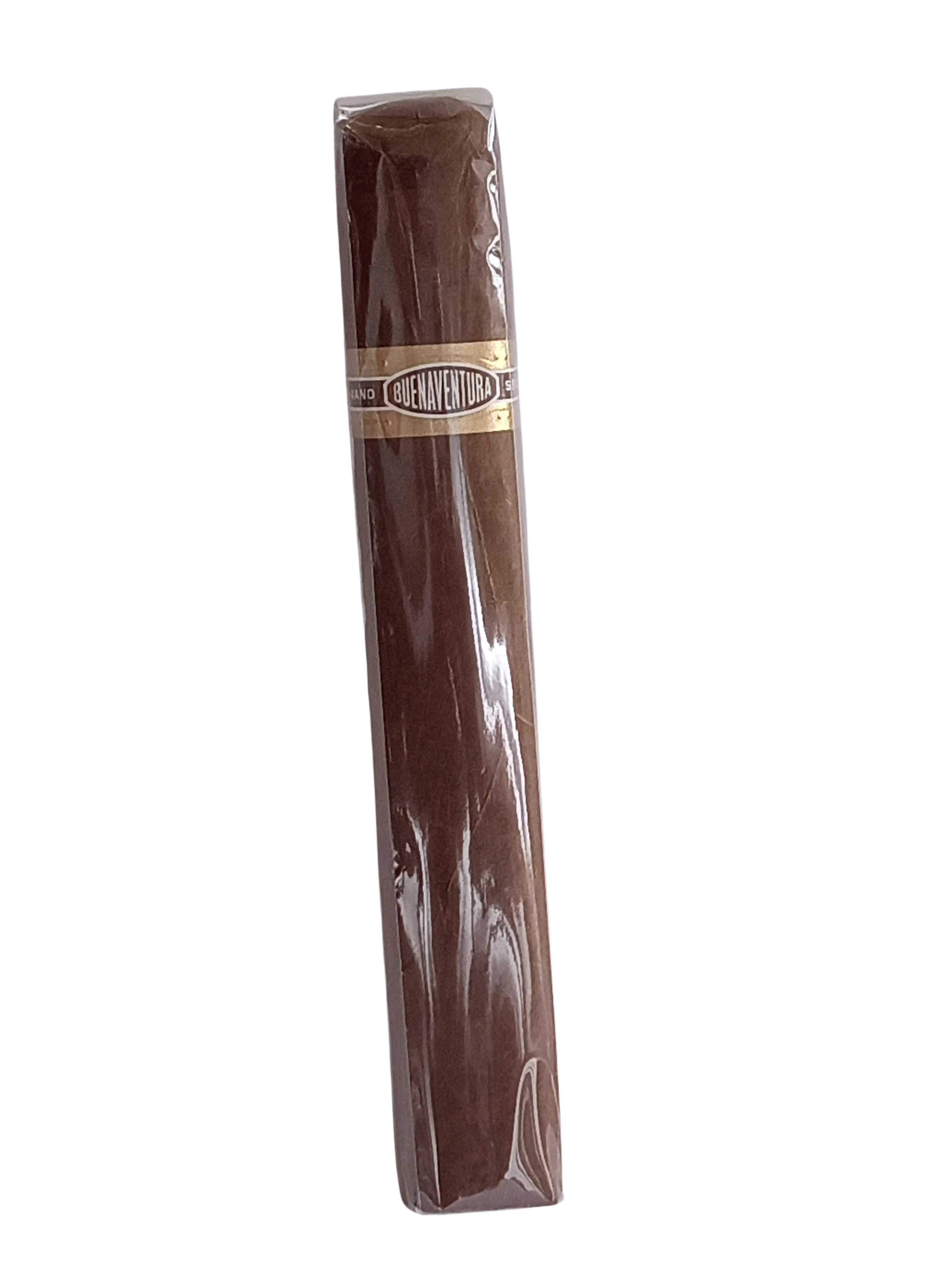 Buenaventura Semilla BV 600