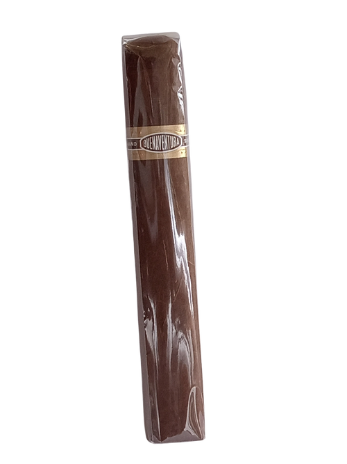 Buenaventura Semilla BV 600